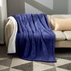 Heated Electric Sherpa Throw Blanket in Blue/White