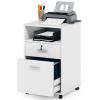 White Rolling 2-Drawer Mobile File Cabinet Printer Stand Office Cart on Wheels