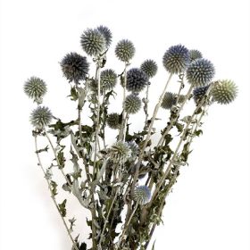 Dried Flower Blue Planet Home Decoration Dried Flowers Bouquet Photography Props