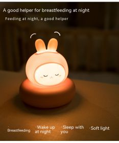 Cute Pet Sleeping Small Night Lamp USB Charging Desktop Pat Touch Induction Lamp (Option: 3W-Pink Rabbit White Light-USB)