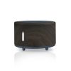 Outdoor Camping Bluetooth Music Flame Humidifier