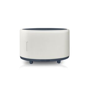 Outdoor Camping Bluetooth Music Flame Humidifier (Option: White-Classic style-USB)